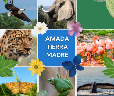 AMADA TIERRA MADRE
